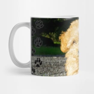 Toy Poodle Puppy Mug